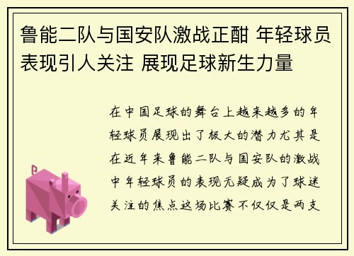 鲁能二队与国安队激战正酣 年轻球员表现引人关注 展现足球新生力量